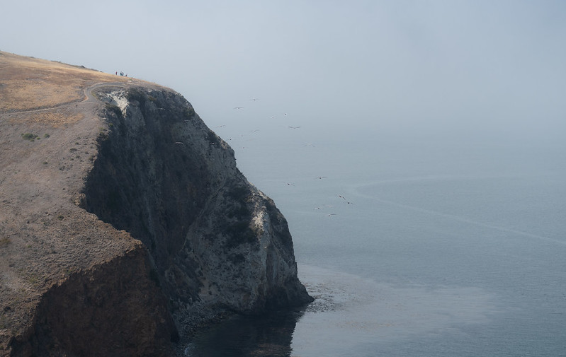 A cliff towering the sea on Santa Cruz island