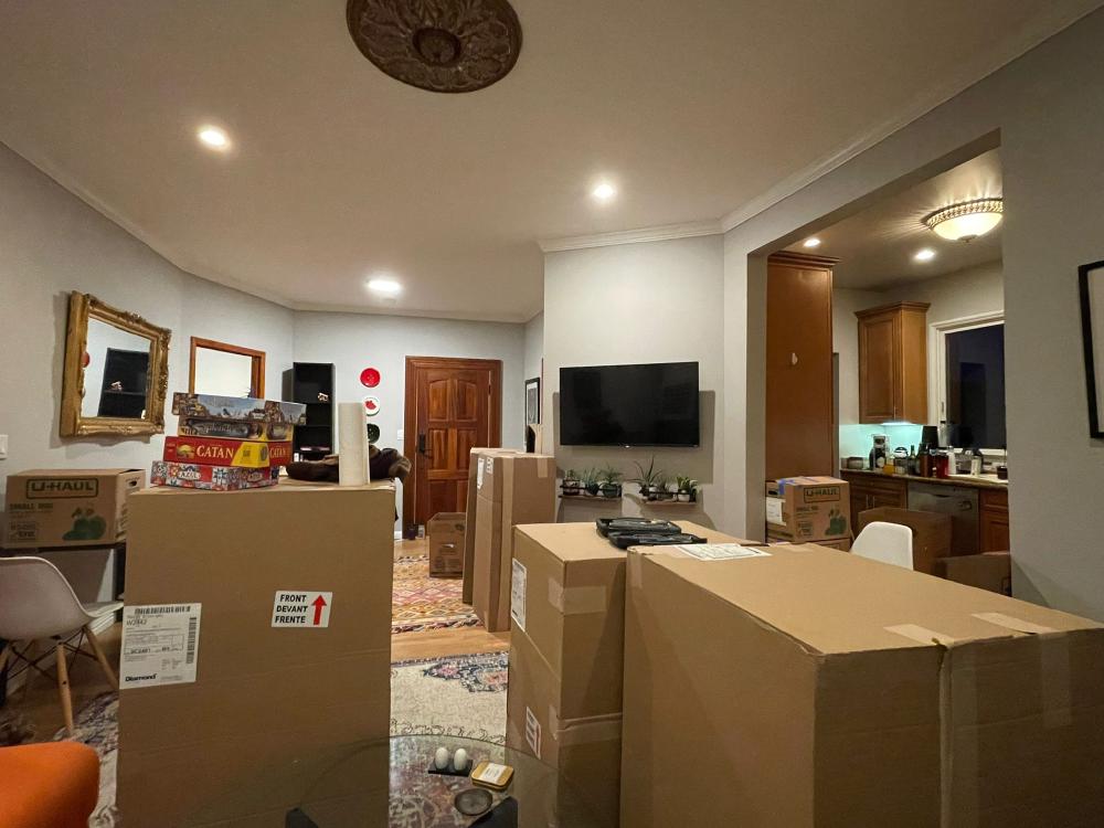 The living room of our apartment, full of boxes