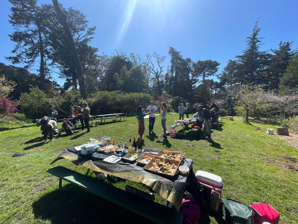 Baby shower in the park